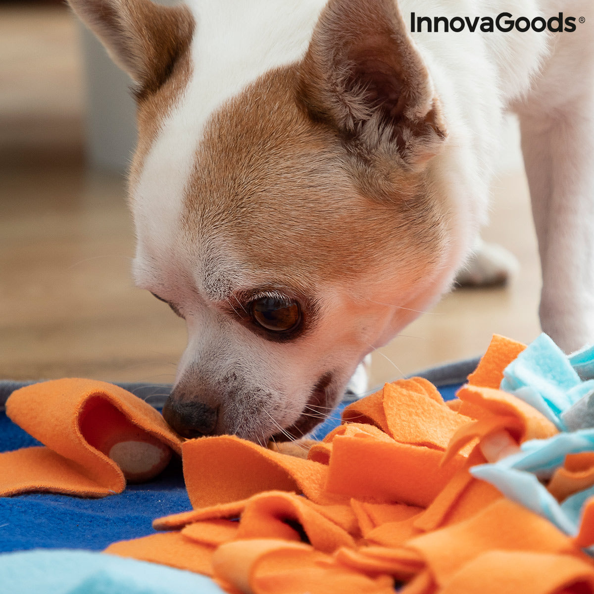 Alfombra Olfativa para Mascotas Fooland InnovaGoods